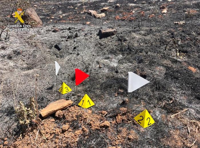 El SEPRONA investiga a tres personas por un delito de incendio forestal por imprudencia grave