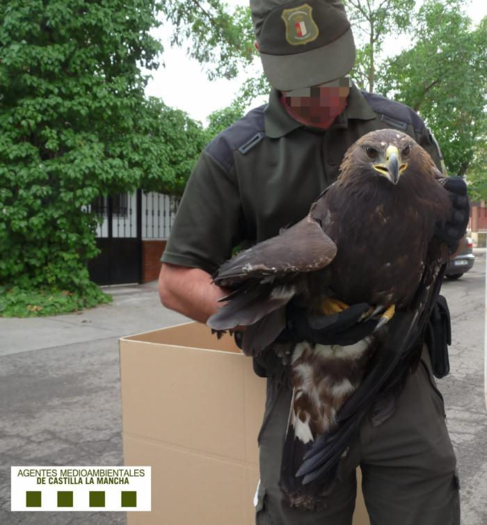 Denuncian el desmantelamiento del Centro de Recuperación de Fauna Silvestre de Albaladejito