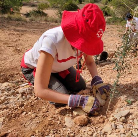 Cruz Roja compensará sus emisiones de dióxido de carbono con acciones de reforestación