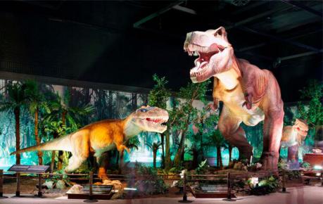 Dinosaurs Tour, la mayor exposicio&#769;n de dinosaurios animatro&#769;nicos, llega a Cuenca