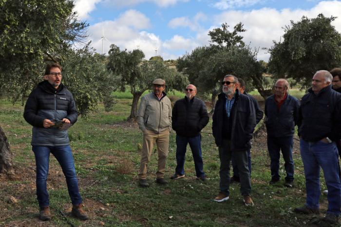 Se impulsa el renacimiento de la cooperativa de aceite en Villalba del Rey a través de su proyecto 'Desarrolla Villalba del Rey'