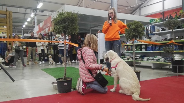 Un desfile canino y 280 kilos de pienso cierran la cuarta edición de la Semana de las Mascotas de La Mezquita