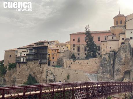 Critican la tala de los árboles centenarios del patio trasero de la Catedral