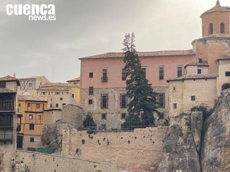 El Obispado corta los dos árboles del patio trasero de la Catedral