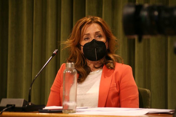 Cristina Fuentes, portavoz del grupo municipal Ciudadanos 