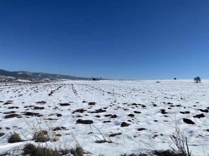 Suspendidas para mañana todas las rutas escolares de la provincia debido a la nieve acumulada y las heladas previstas para las próximas horas