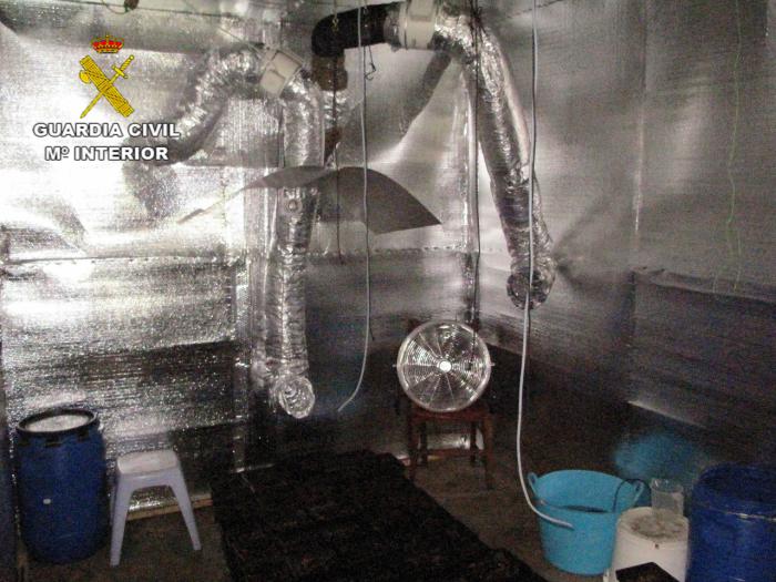 Desmantelado en Herencia tres laboratorios de cultivo indoor de cannabis sativa compuesto por 121 plantas
