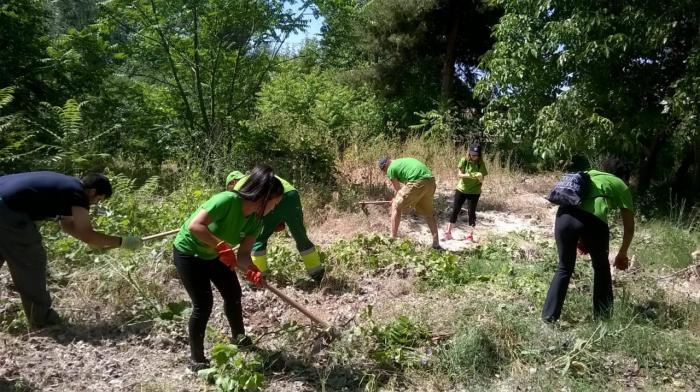Iberdrola celebra en Cuenca el Día del Voluntariado en Castilla-La Mancha