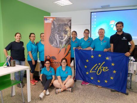 Conservar al lince ibérico repercute positivamente en la calidad de vida