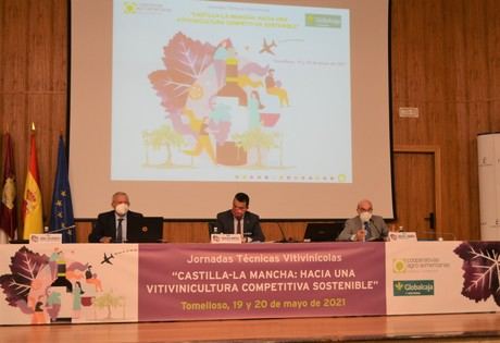 Cooperativas Agro-alimentarias retoma tras la pandemia la celebración de las Jornadas Técnicas Vitivinícolas con un plantel de expertos nacionales e internacionales