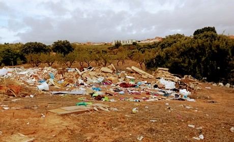Villalpardo mantiene su compromiso con el medio ambiente organizando una recogida voluntaria de residuos