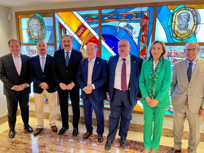 Castilla-La Mancha seguirá colaborando y aportando ideas para la mejora del actual Sistema Nacional de Salud