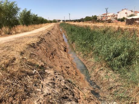 El Ayuntamiento de Quintanar del Rey agradece a la CHJ que acometa las mejoras en el cauce del Valdemembra