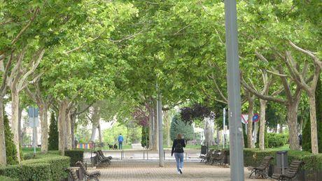 CEOE CEPYME Cuenca destaca su compromiso con el desarrollo sostenible en el Día del Medio Ambiente