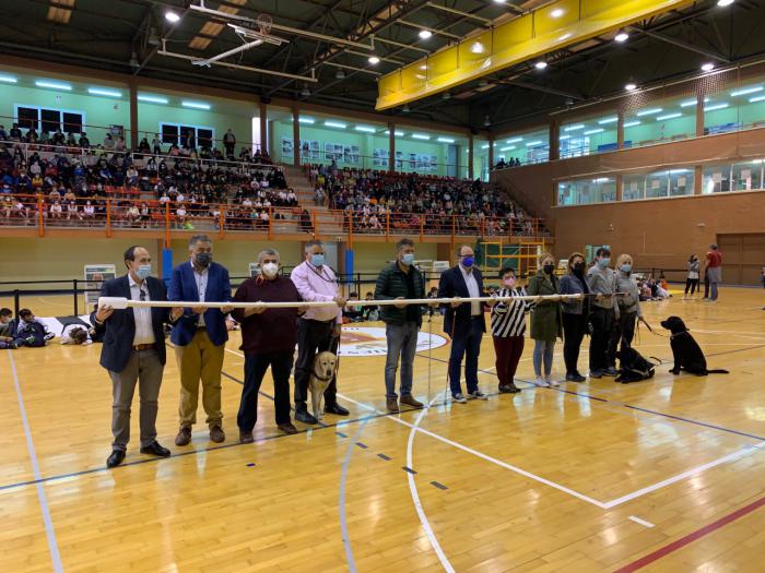 La ONCE monta un “bastón blanco” gigante y una exhibición de perros guía en Cuenca