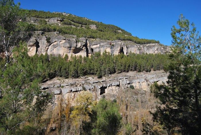 Primera asociación de montes privados en la provincia bajo la certificación FSC