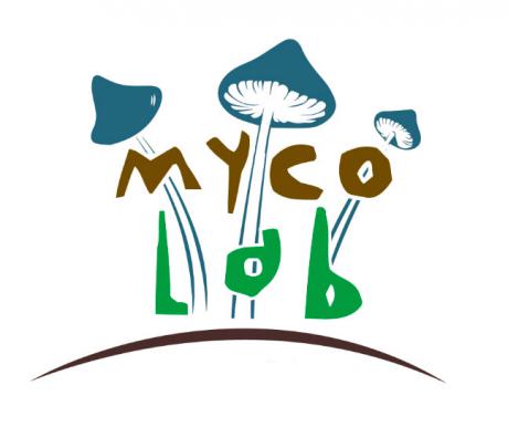 Mycolab surge de UFIL para formar a personas sobre el autocultivo de hongos comestibles y medicinales