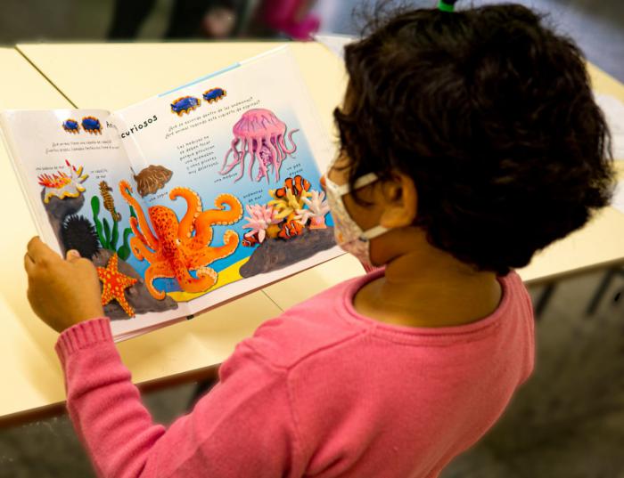 Cruz Roja Juventud pone en marcha el servicio infantil de animación a la lectura coincidiendo con el Día de la Biblioteca.