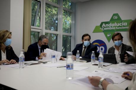 Núñez afirma que el PP-CLM comparte con el Gobierno de Juanma Moreno una idea clara: “El autónomo es la base del tejido productivo del territorio”