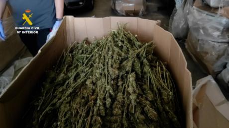 Incautadas más de dos toneladas de marihuana en el Polígono industrial “La Quinta” de Cabanillas del Campo