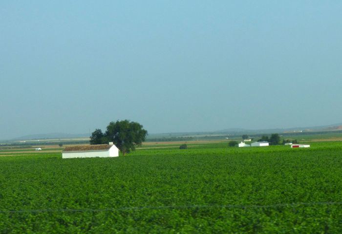 ASAJA Cuenca, Fundación LAFER y Foro Interalimentario lanzan el curso de gestión estratégica de explotaciones agrícolas y ganaderas