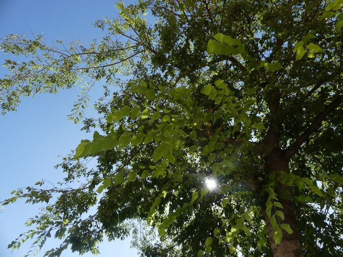 La Confederación de Empresarios reivindica unas empresas responsables con el Medio Ambiente el 5 de junio