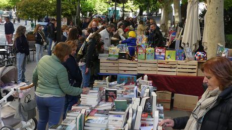 Más de 2.500 personas visitaron la plaza de la Hispanidad en el Día del Libro