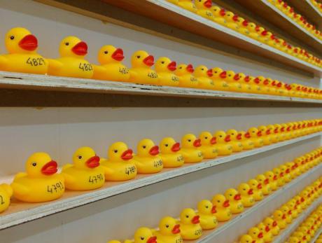 Patos de goma surcarán el río Júcar para concienciar sobre el autismo