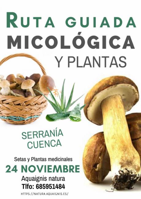 Abierta la inscripción para una nueva ruta micológico botánica