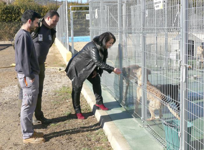 El Albergue Provincial de Animales de la Diputación despide el año 2017 con un total de 61 perros adoptados