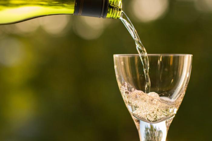 Selecciona el mejor vino moscato para tu paladar