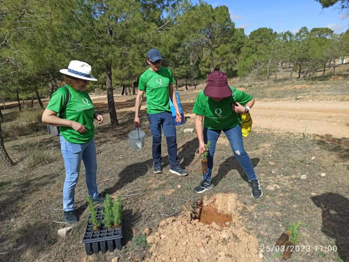 En torno a 400 personas participan en la plantación de más de 700 árboles en Quintanar del Rey