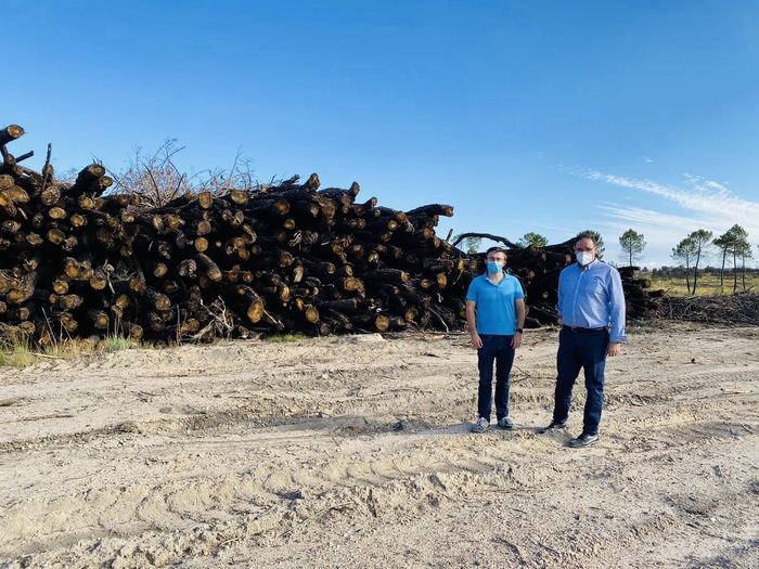 El PP lamenta la dejadez de la Junta en la regeneración del monte incendiado hace ya más de un año en la zona de Barchín