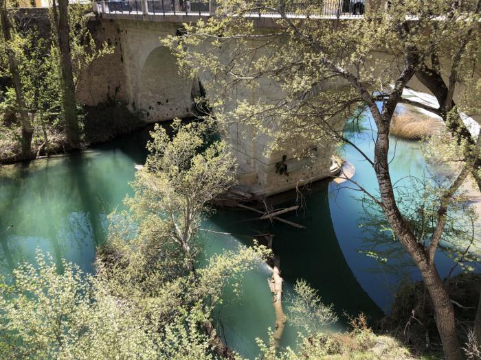 Este miércoles se retiran los chopos caídos bajo el Puente de San Antón