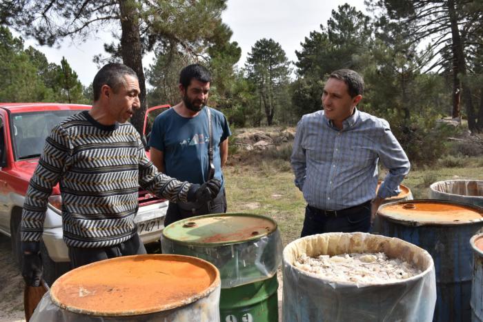 Se publica la convocatoria de ayudas al sector resinero dotada con un presupuesto de 24.000 euros