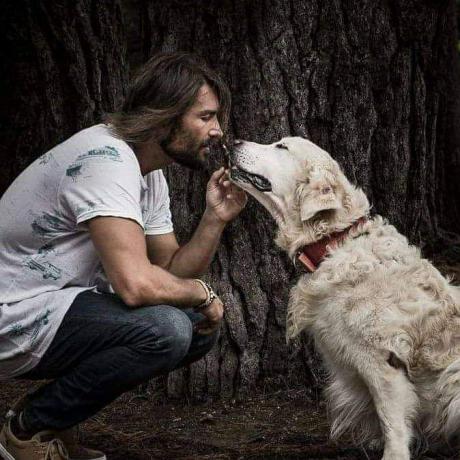 Candestino, concierto para perros y humanos en Estival Cuenca 23