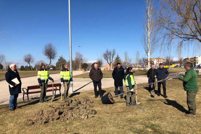 El Ayuntamiento replanta más de medio millar de árboles en viales y parques a través del Plan de Reposición de Marras