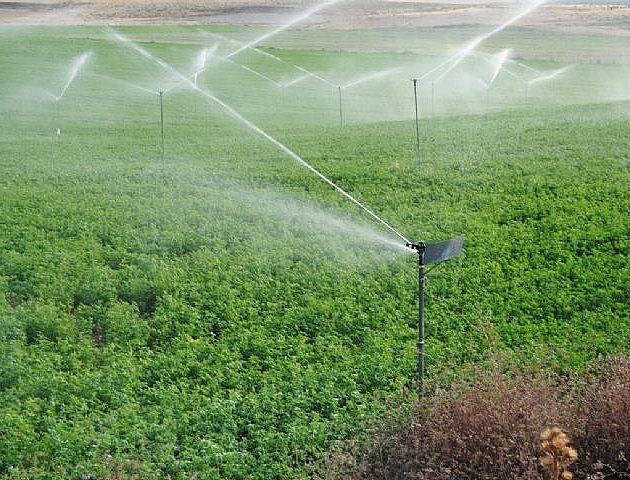 La reducción del agua para regar en muchas zonas de la región supondrá una importante merma en la producción de los cultivos sociales