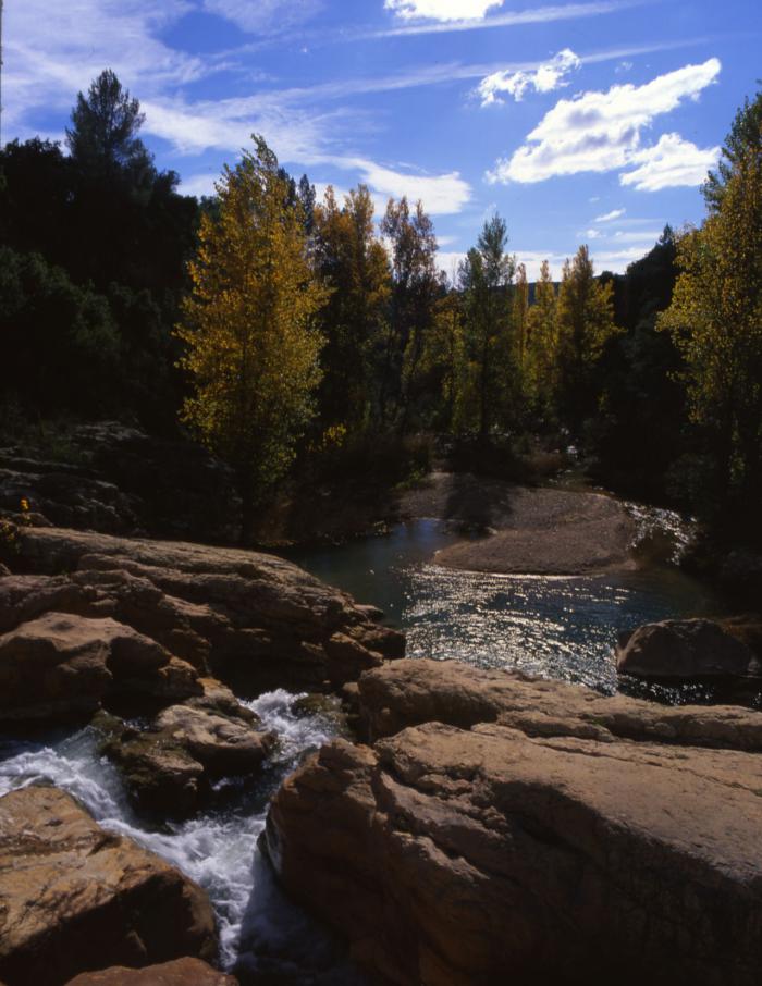 Reserva de la Biosfera Valle del Cabriel 