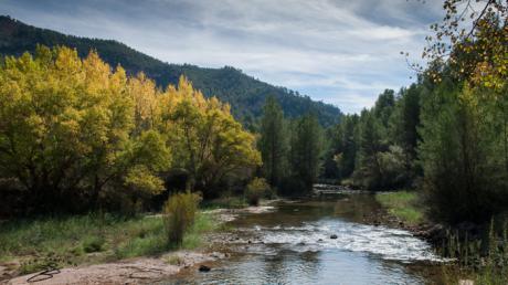 Cuenca Ahora, Pueblos Vivos Cuenca y Serranía Celtibérica presentan alegaciones ante la Confederación Hidrográfica, en defensa de la zona Reserva de la Biosfera Valle del Cabriel