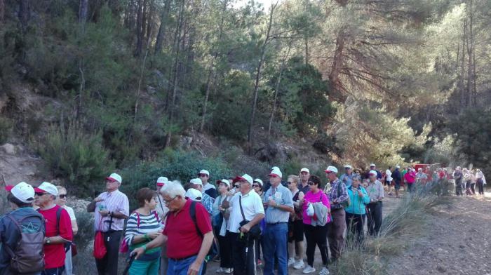 Alrededor de 500 personas han participado en las rutas senderistas del programa “Mayores en forma” de la provincia