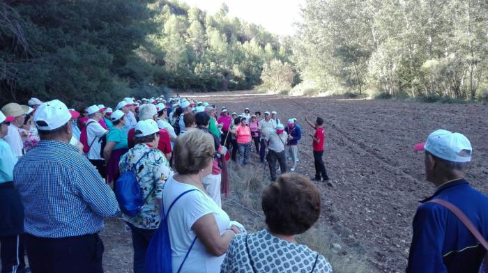 En marcha más de un centenar de actividades de envejecimiento activo en la provincia