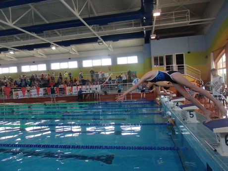 La IV Jornada de Natación de Deporte Base en Edad Escolar reunió en Cuenca a cerca de 240 nadadores