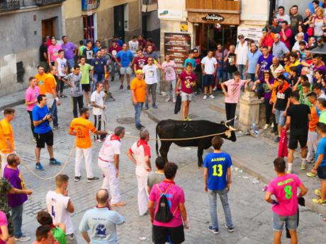 Cuenca en Marcha propone evitar el sacrificio de la vaca y una mayor protección del Casco Antiguo en la Ordenanza de San Mateo