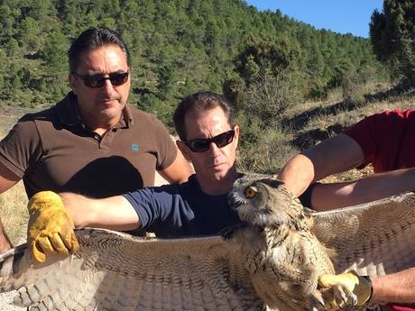 El Centro de Recuperación de la Fauna Silvestre de Albaladejito, protagonista del programa ‘Héroes Anónimos’ de CMM