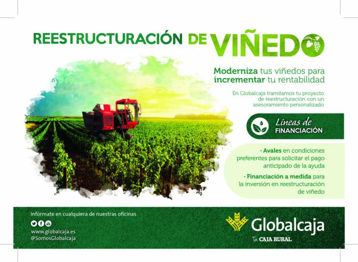 Globalcaja da respuesta y muestra su compromiso con el sector agrario en las ayudas a la reestructuración y reconversión de viñedo 2019