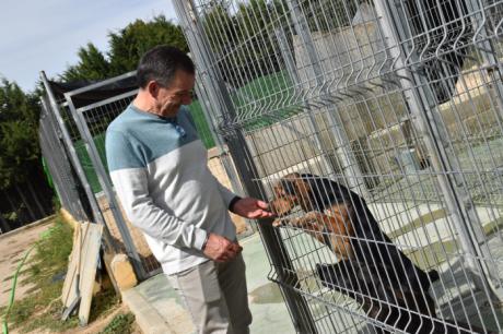 El Albergue Provincial de Animales ha llevado a cabo 100 adopciones durante el último año