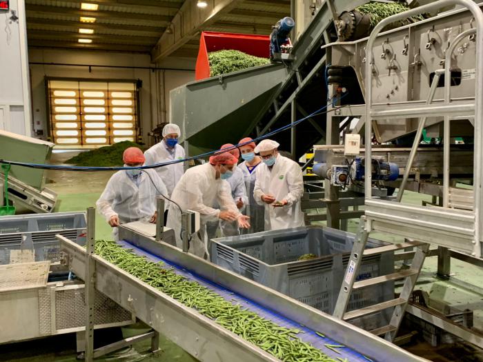 La Diputación colabora con el The Real Green Food para instalar modelos de producción de legumbres en la provincia