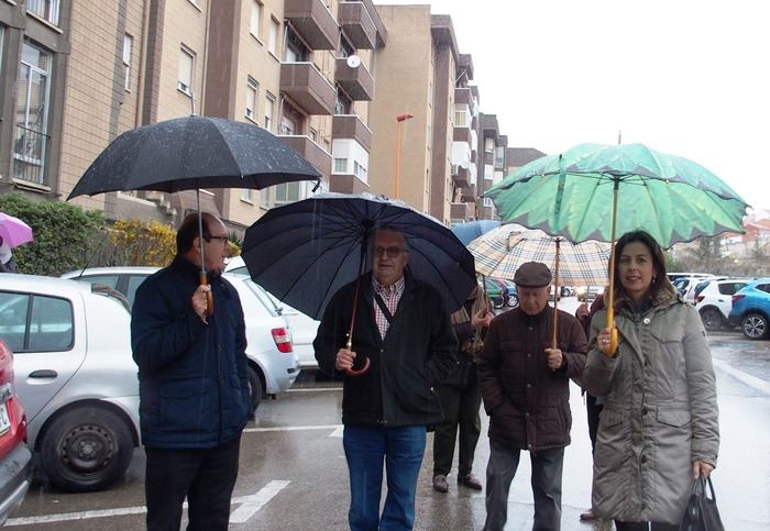 Luz Moya propone redefinir la red de transporte público con una línea circular, varias radiales y atención específica al Casco Antiguo y al AVE