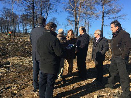 El Gobierno regional invertirá más de 120.000 euros en la recuperación medioambiental de la zona afectada por el incendio de Campillo de Altobuey
